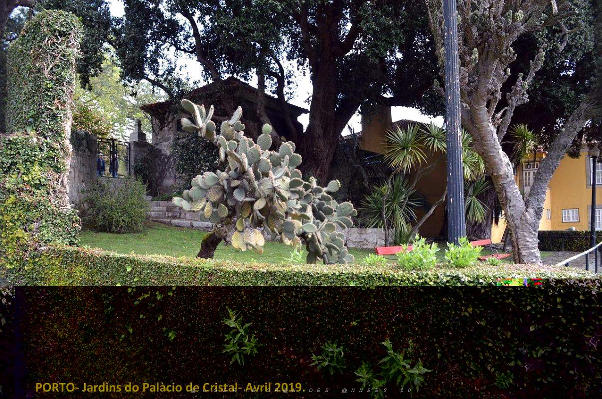 1080- Porto Jardins Palais Cristal.jpg